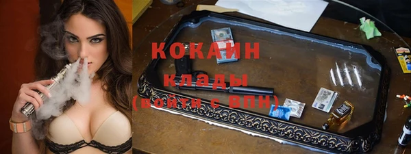 МДПВ Горняк