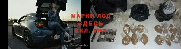 мяу мяу мука Вязьма
