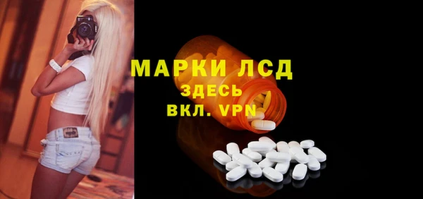 гидропоника Горнозаводск