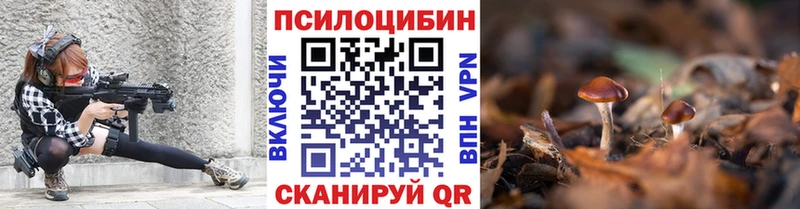 Псилоцибиновые грибы Psilocybine cubensis  Купить закладки  Мышкин 