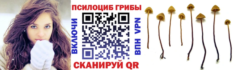 Псилоцибиновые грибы GOLDEN TEACHER Мышкин